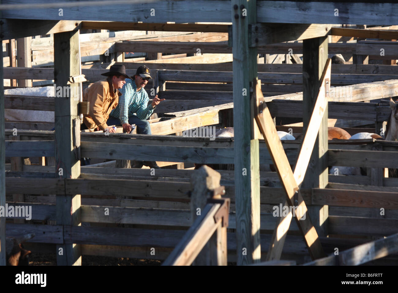 I cowboys per discutere l'acquisto di cavalli a Stockyards Fort Worth Texas Foto Stock