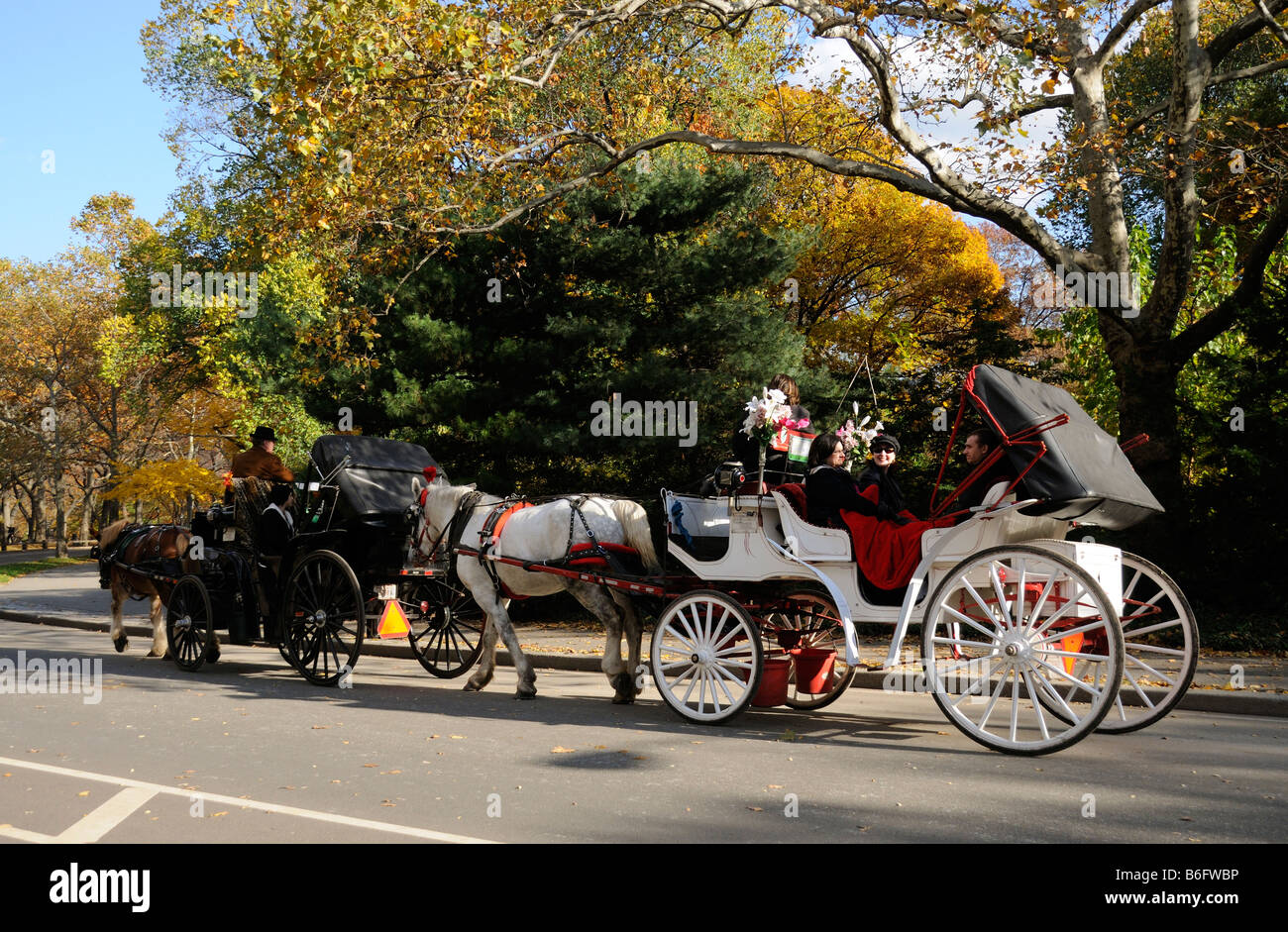 Il Central Park di New York America USA cavallo e taxi turistici visite carrello Foto Stock