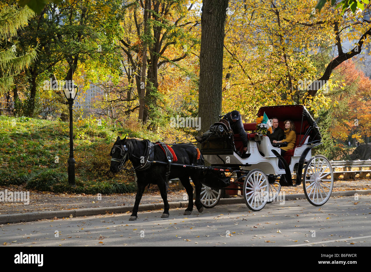 Il Central Park di New York America USA cavallo e taxi turistici visite carrello Foto Stock