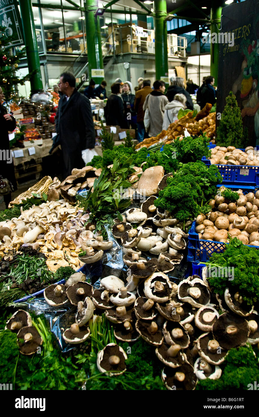 Un display di funghi al Mercato di Borough di Londra. Foto Stock