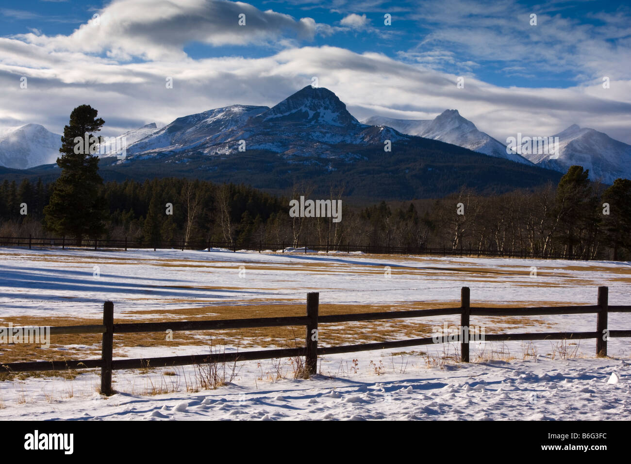 Bison Mountain, Nazione Glacier Park Montana Foto Stock