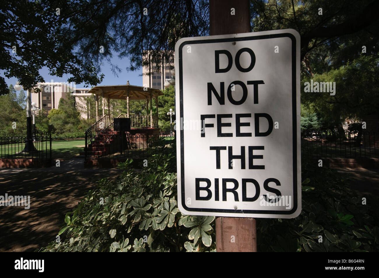 Non alimentare il segno di uccelli in un parco della città Foto Stock