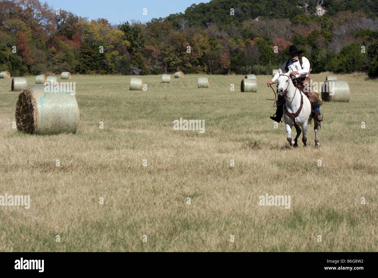 Un cowboy al galoppo a piena velocità in un texano hayfield in autunno Foto Stock