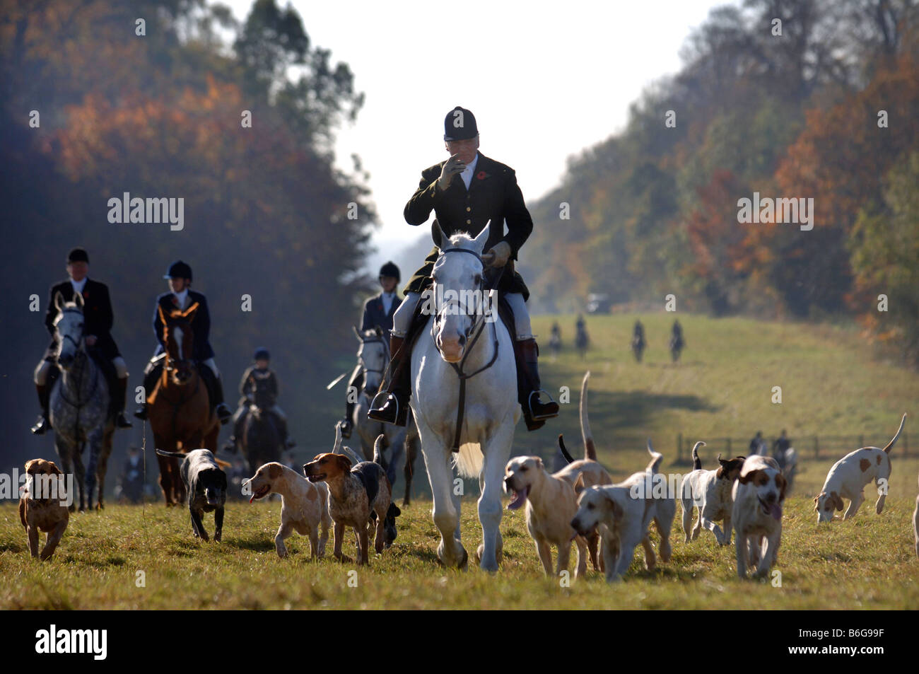 Il Beaufort caccia guidati dal master comune capitano IAN APPROCCIO FARQUHAR UN INCONTRO A WORCESTER LODGE VICINO A LORO BADMINTON CANILI GL Foto Stock