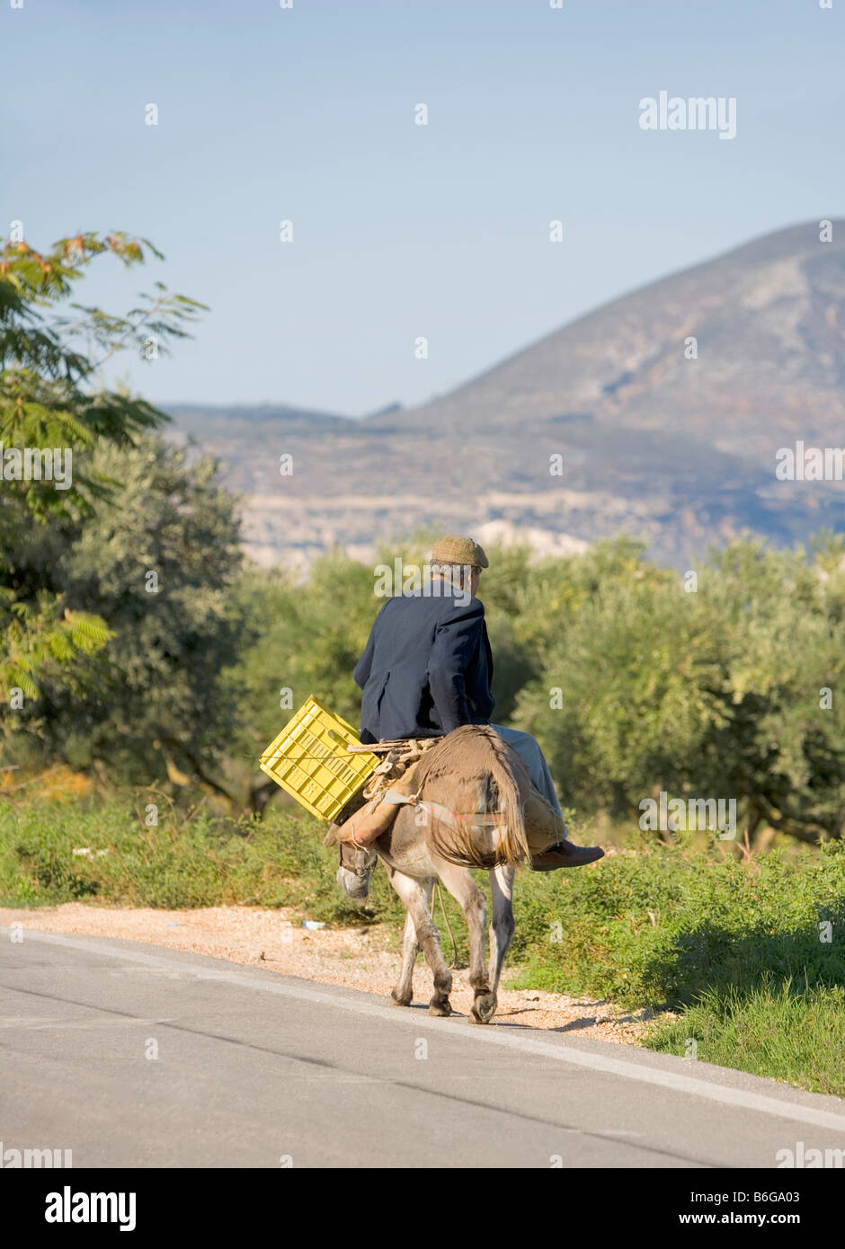 Uomo su asino - Lixouri, Cefalonia, Grecia, Europa Foto Stock