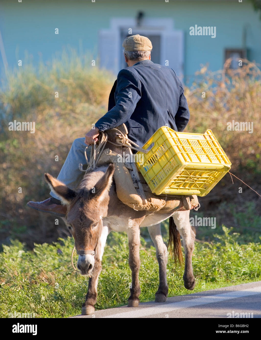 L'uomo su donkey Lixouri Cefalonia Grecia Foto Stock