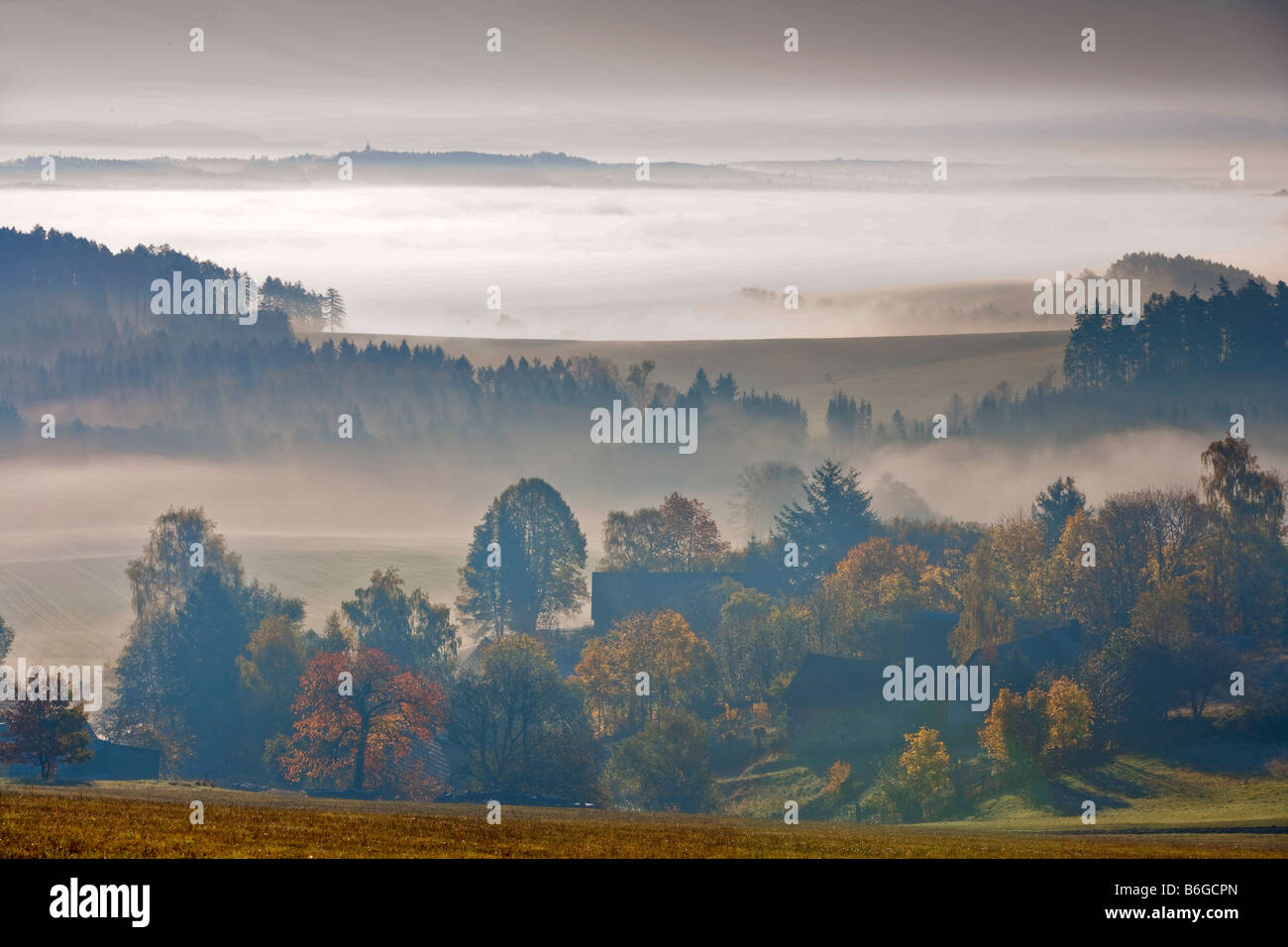 Paesaggio nella nebbia Foto Stock