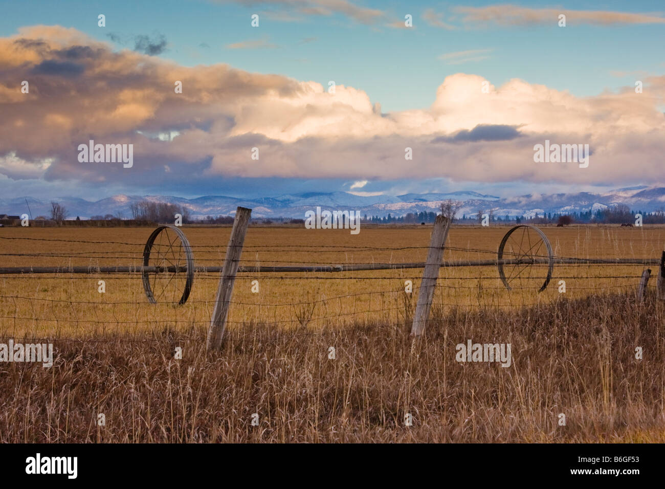 Ruota di irrigazione sul ranch di bestiame in Bitterroot Mountains vicino a Stevensville, nel Montana Foto Stock