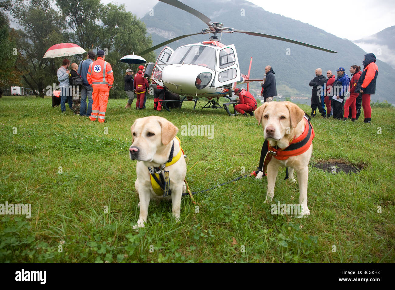 Due gatti formazione per diventare cani da salvataggio saltano dall'elicottero in acqua per il soccorso di una persona di annegamento Ubicazione Italia Foto Stock
