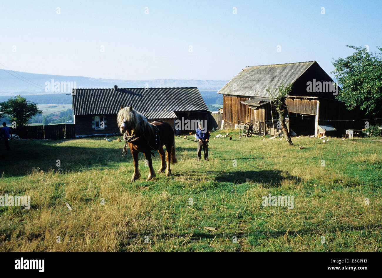 La Polonia Psary farm homestead village con cavallo e host Foto Stock