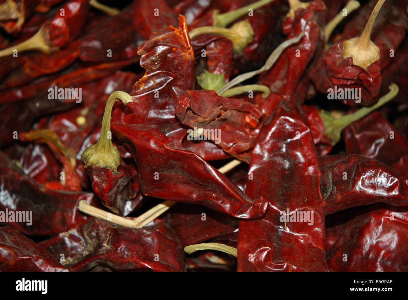 Un mucchio di red hot chili peppers Foto Stock