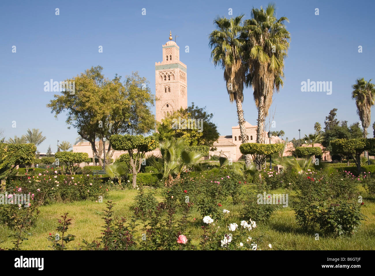 Marrakech marocco Nord Africa dicembre guardando verso la Moschea di Koutoubia con il suo alto minareto di Koutoubia gardens Foto Stock
