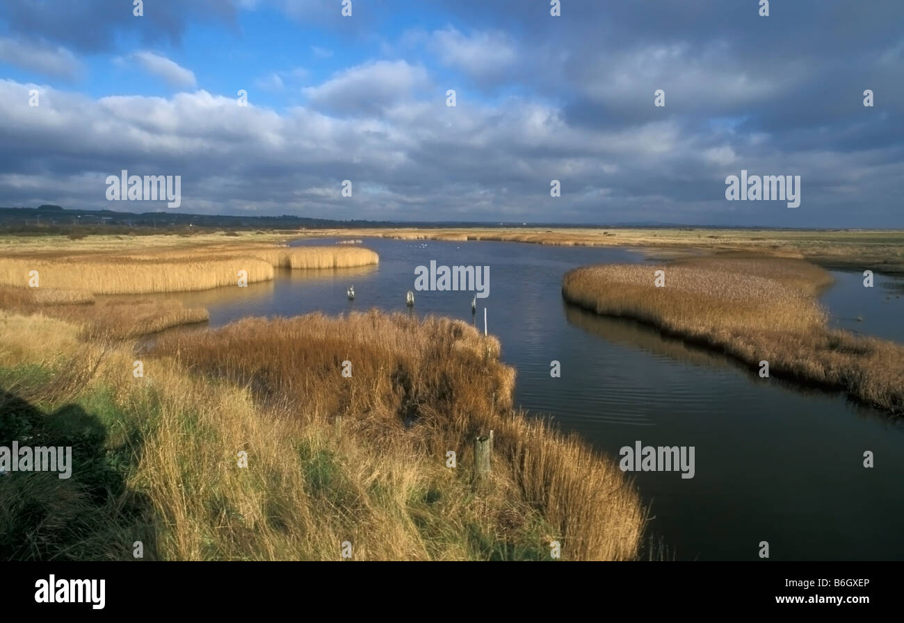 Paludi Farlington Hampshire REGNO UNITO Foto Stock