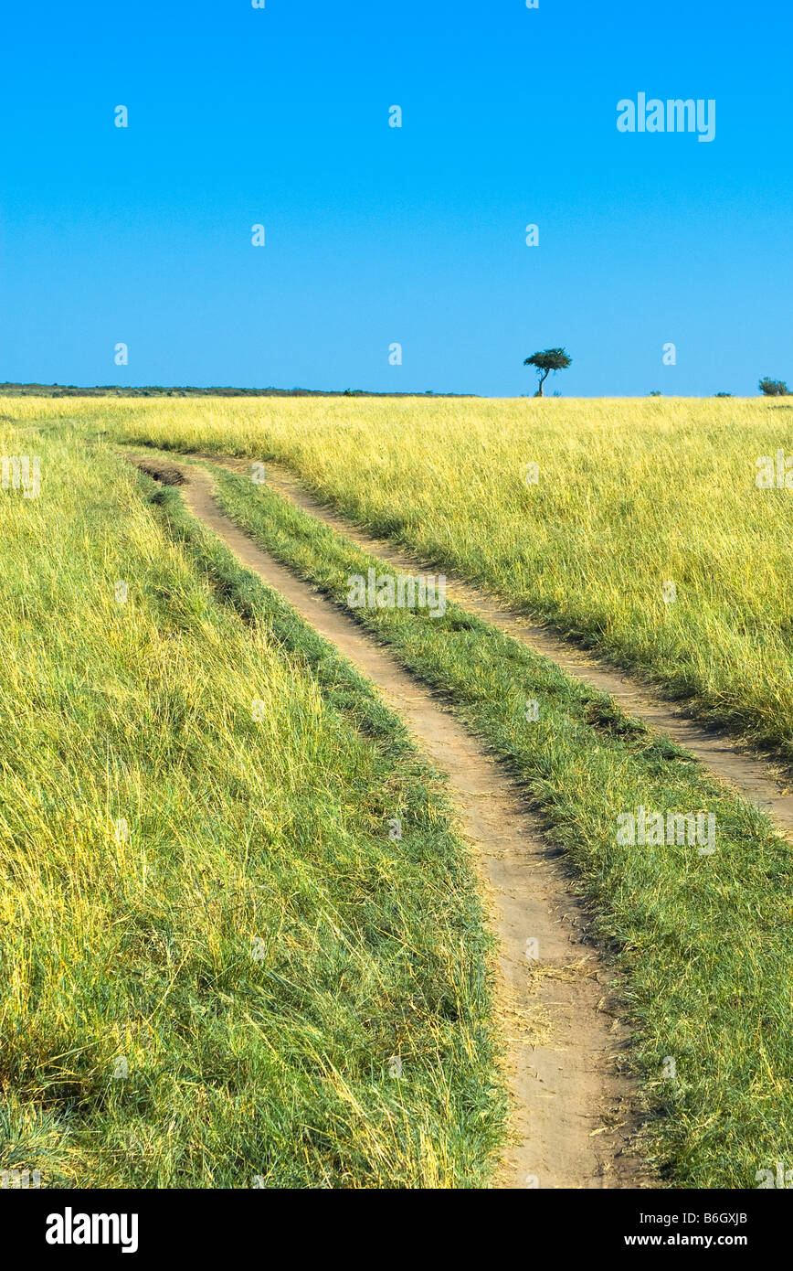 Strada di campagna erba verde e blu cielo Foto Stock