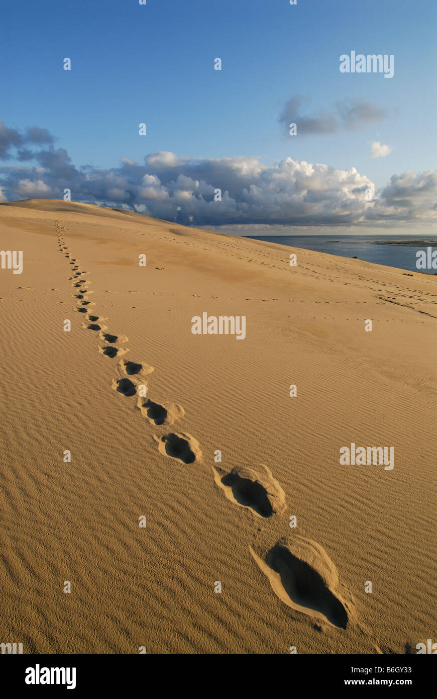 Arcachon Francia dune di sabbia di Pyla Foto Stock