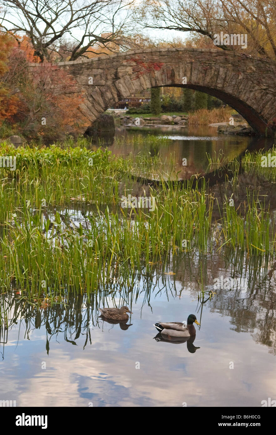 Gapstow Bridge nel Central Park di New York City Foto Stock