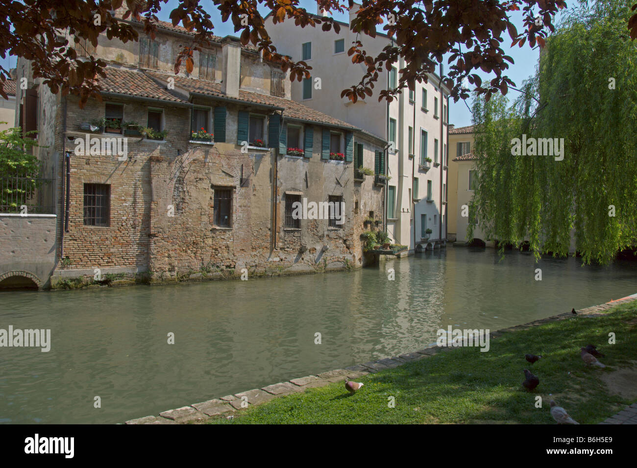 Treviso Cagnan Riva Canal medieval vecchi mulini Veneto Italia Aprile 2008 Foto Stock