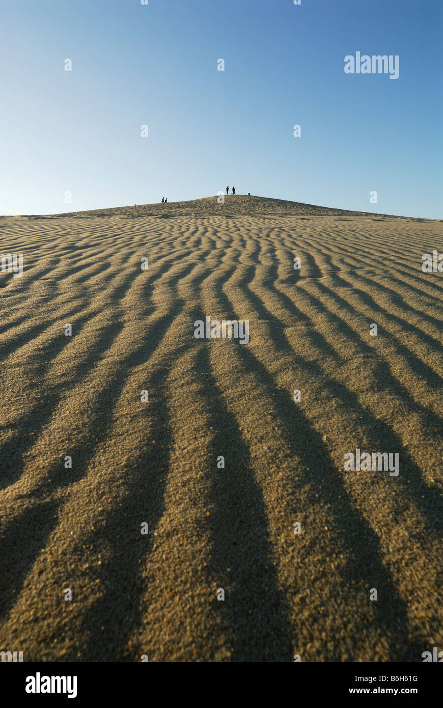 Arcachon Francia dune di sabbia di Pyla Foto Stock