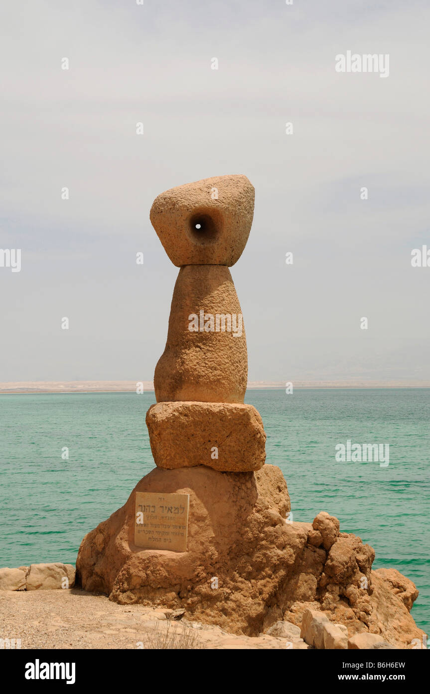 Monumento esotici sul Mar Morto a riva,Israele Foto Stock