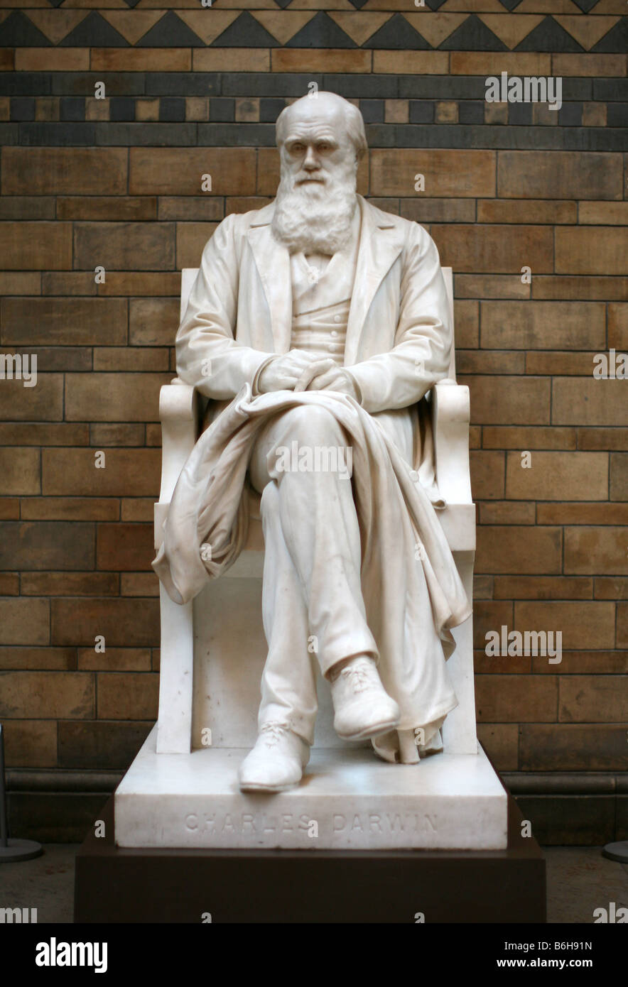 Scultura di Charles Darwin nel Museo di Storia Naturale di Londra Foto Stock