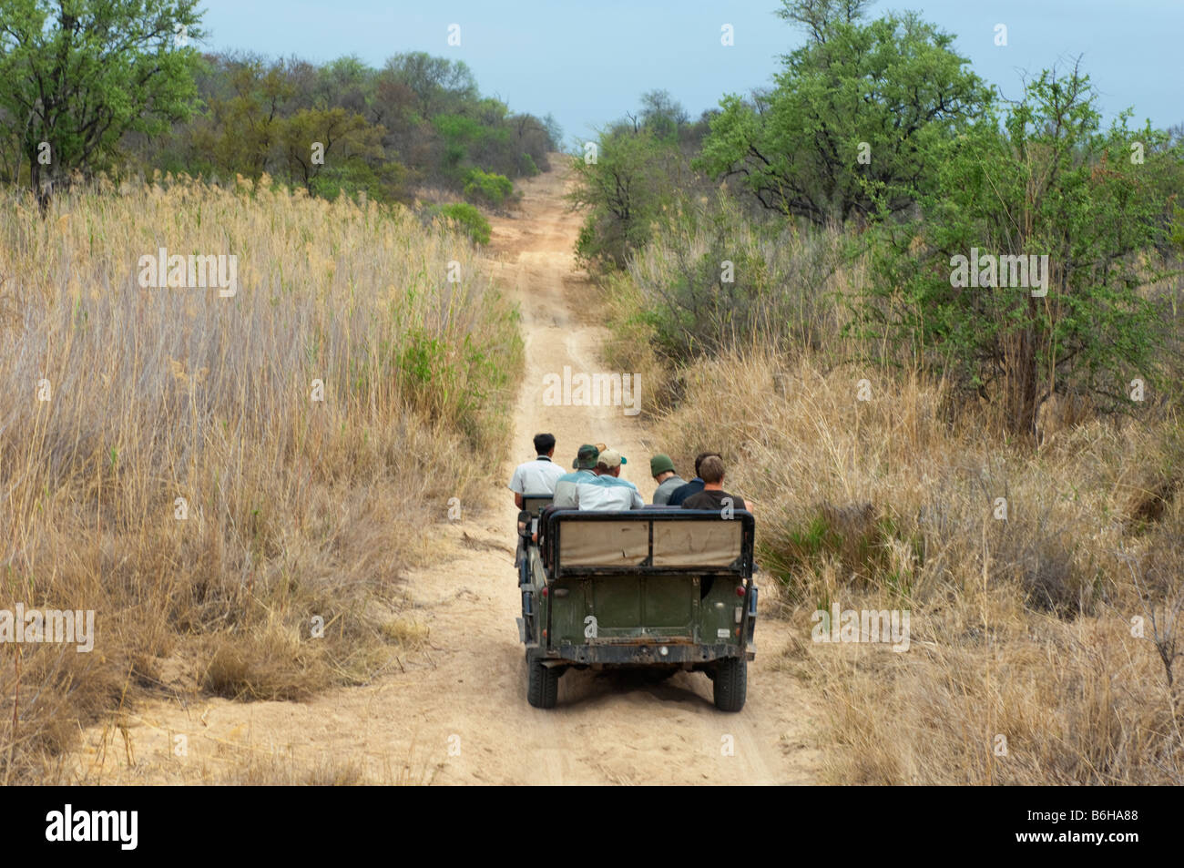 Game Drive avventura Sud-africa veicolo jeep safari persone auto-sud africa deserto selvaggio tratto di strada bush Foto Stock