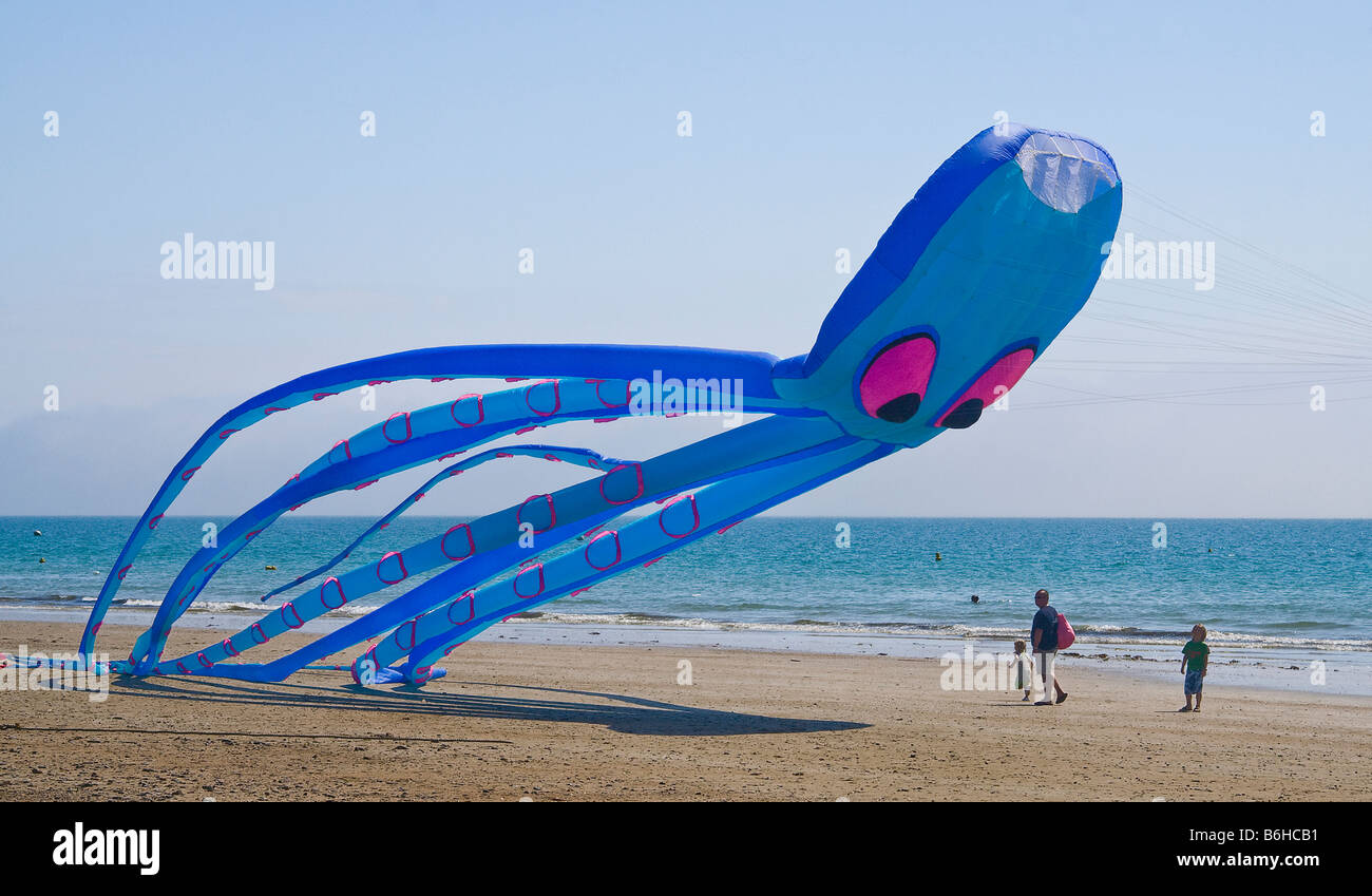 Grandi Kite Sbarco sulla spiaggia vicino a persone Foto Stock