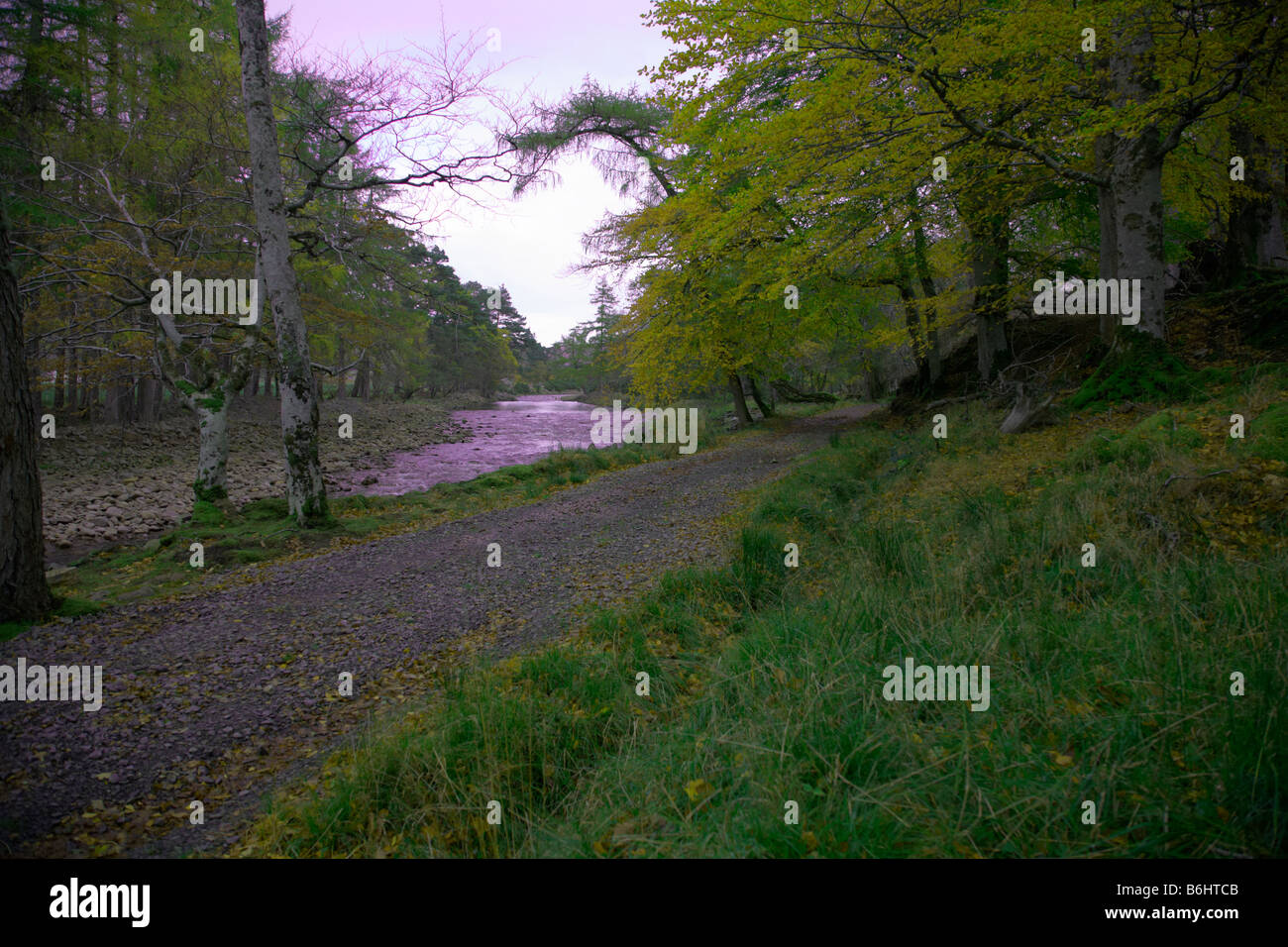 Autunno a piedi nella zona di Applecross House, Applecross, Wester Ross, Ross and Cromarty, West Highlands, Scozia Foto Stock