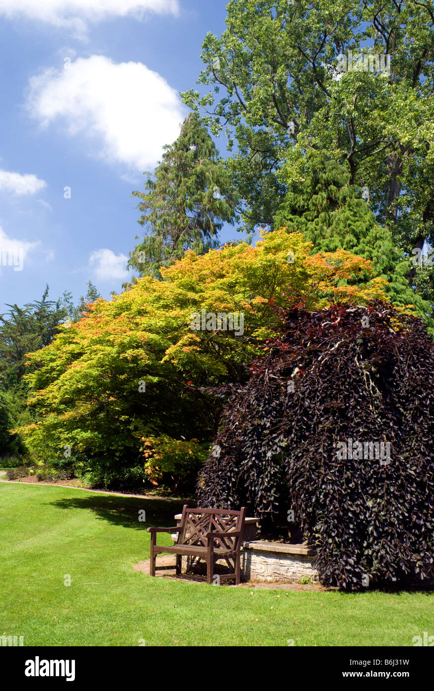 West Garden, Dyffryn House and Gardens, St Nicholas, vale of Glamorgan, Galles del Sud. Foto Stock