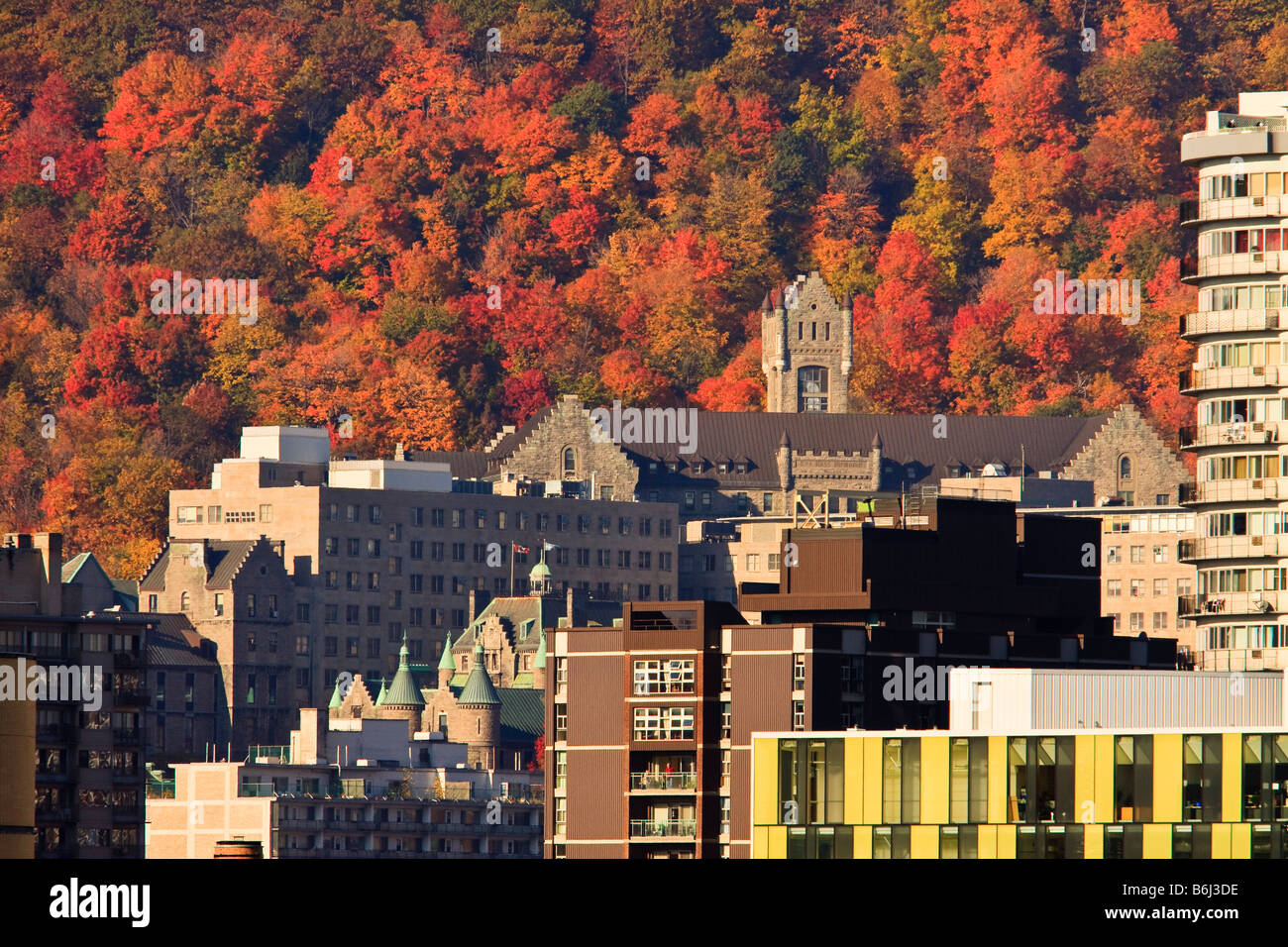 Vista aerea da hotel del Parc du Mont Royale e McGill Univeristy Foto Stock