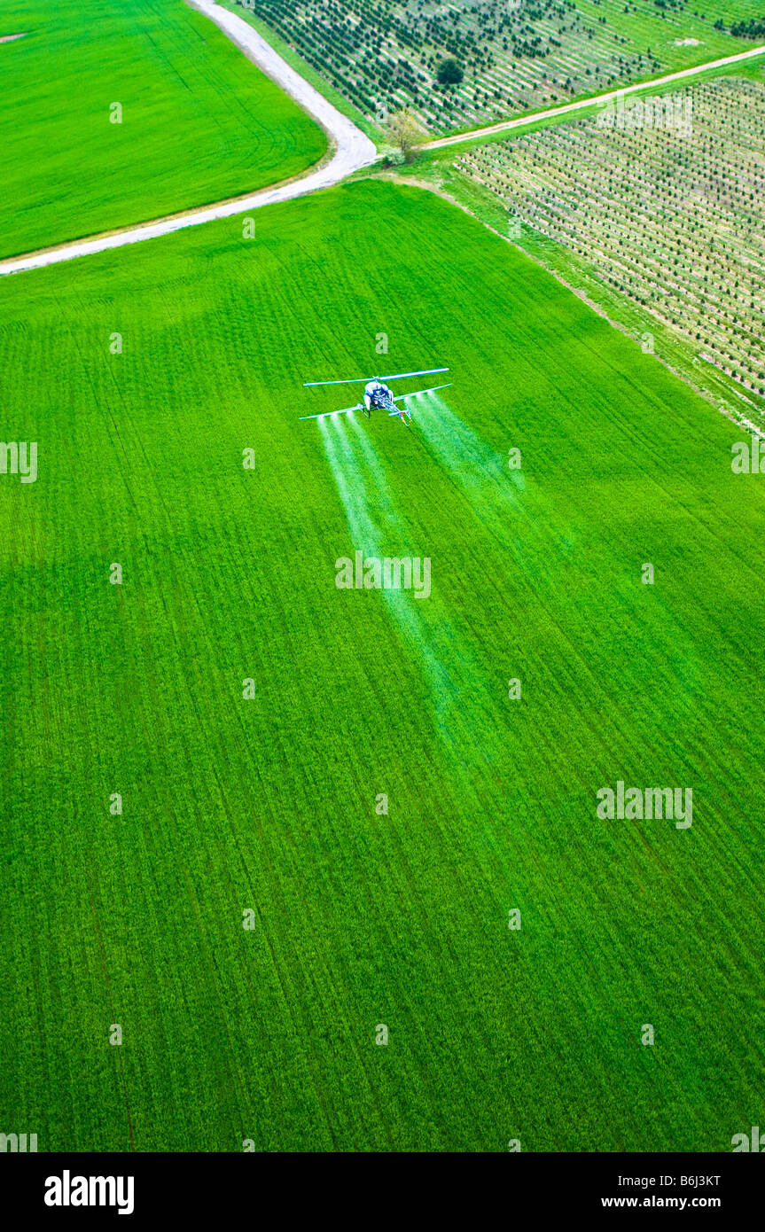 Bassa battenti elicottero SPRAY ANTIPARASSITARIO chimico su tree farm foresta. Foto Stock