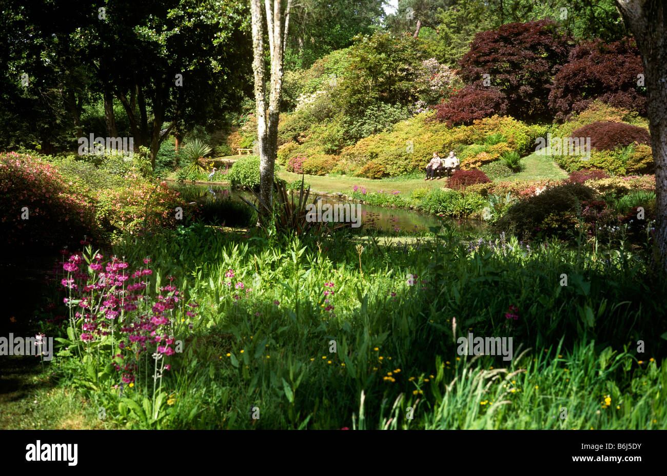 Regno Unito Inghilterra Hampshire Exbury Gardens i visitatori in appoggio sul banco di prova nella luce del sole nei pressi di stagno Foto Stock