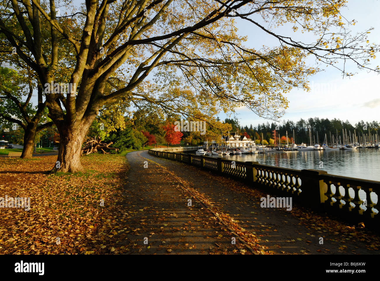 A Vancouver Stanley Park marciapiede durante l'autunno foglia sono rosso giallo brun Foto Stock