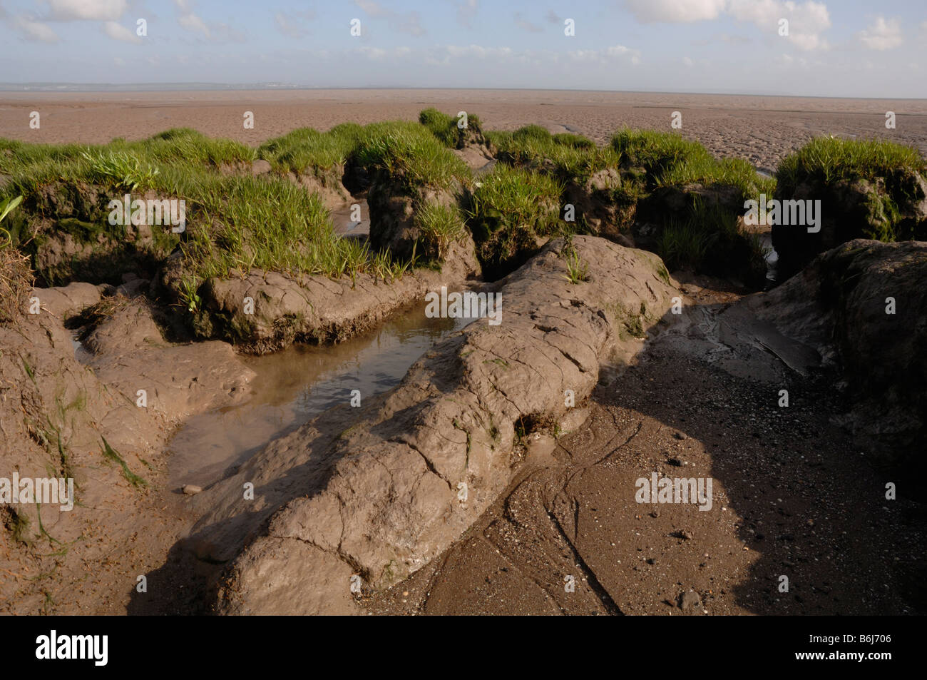 Saltmarsh e mudflat Goldcliff Gwent livelli Newport Wales UK Europa Foto Stock