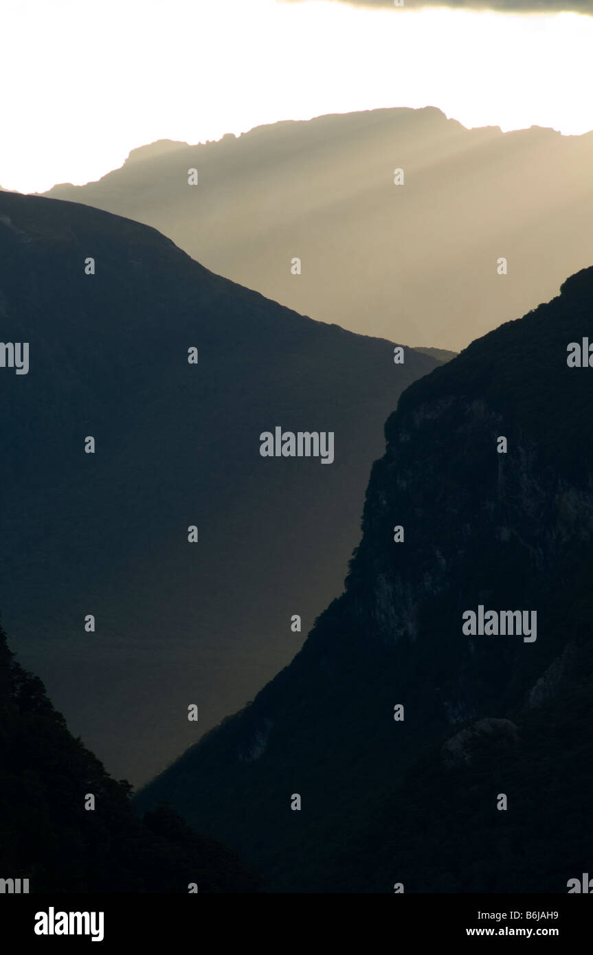La mattina presto la luce nella valle Routeburn, Routeburn Track, Isola del Sud, Nuova Zelanda Foto Stock