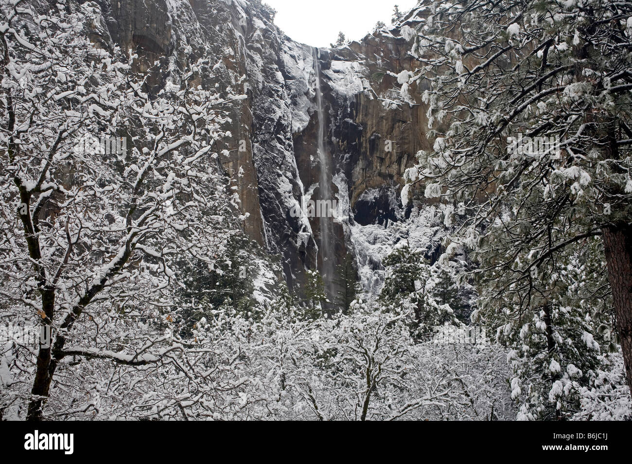 CALIFORNIA - Bridalveil cade dopo un inverno tempesta di neve nella Yosemite Valley area del Parco Nazionale di Yosemite. Foto Stock