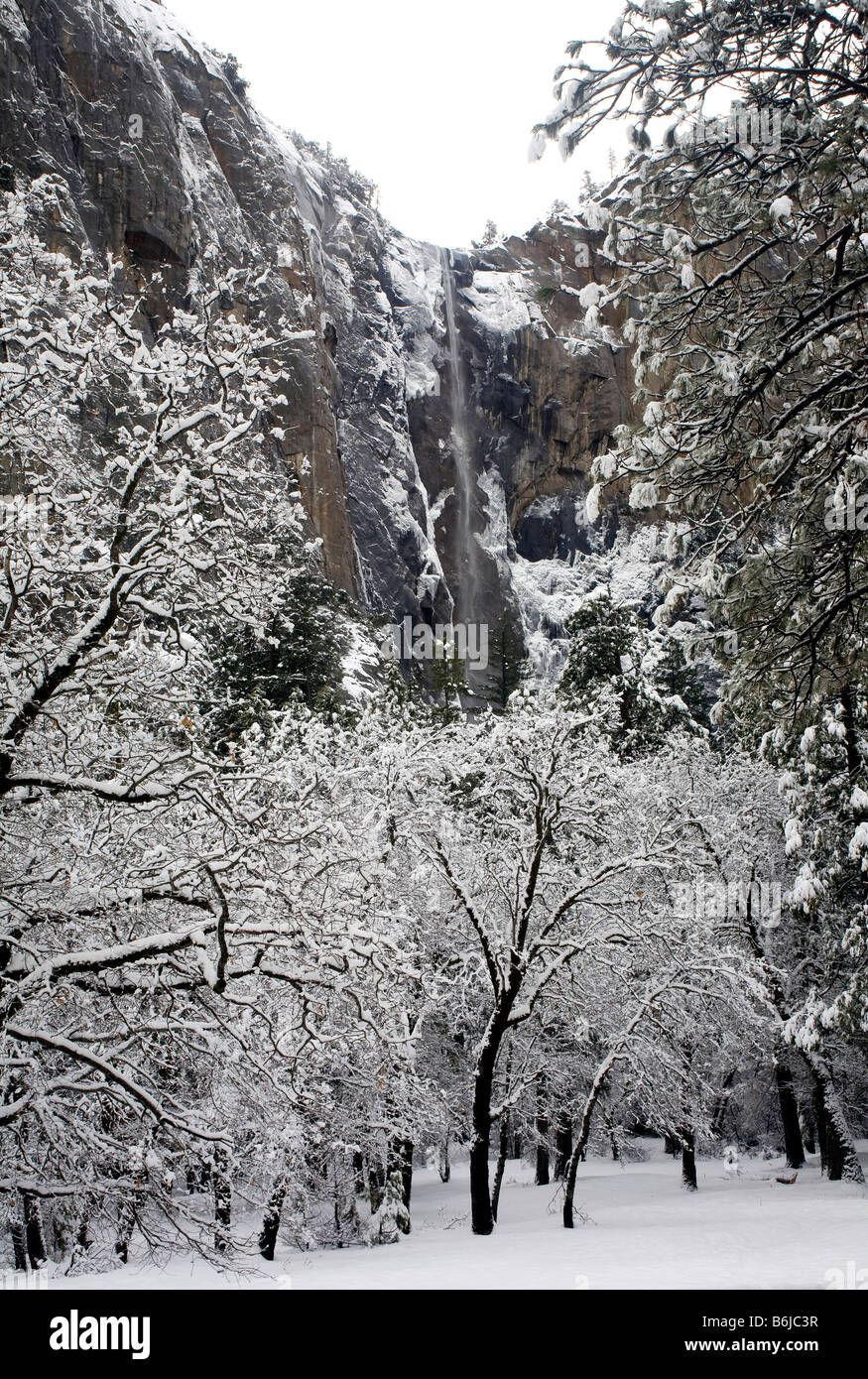 CALIFORNIA - Bridalveil cade dopo una tempesta di neve Yosemite Valley area del Parco Nazionale di Yosemite. Foto Stock