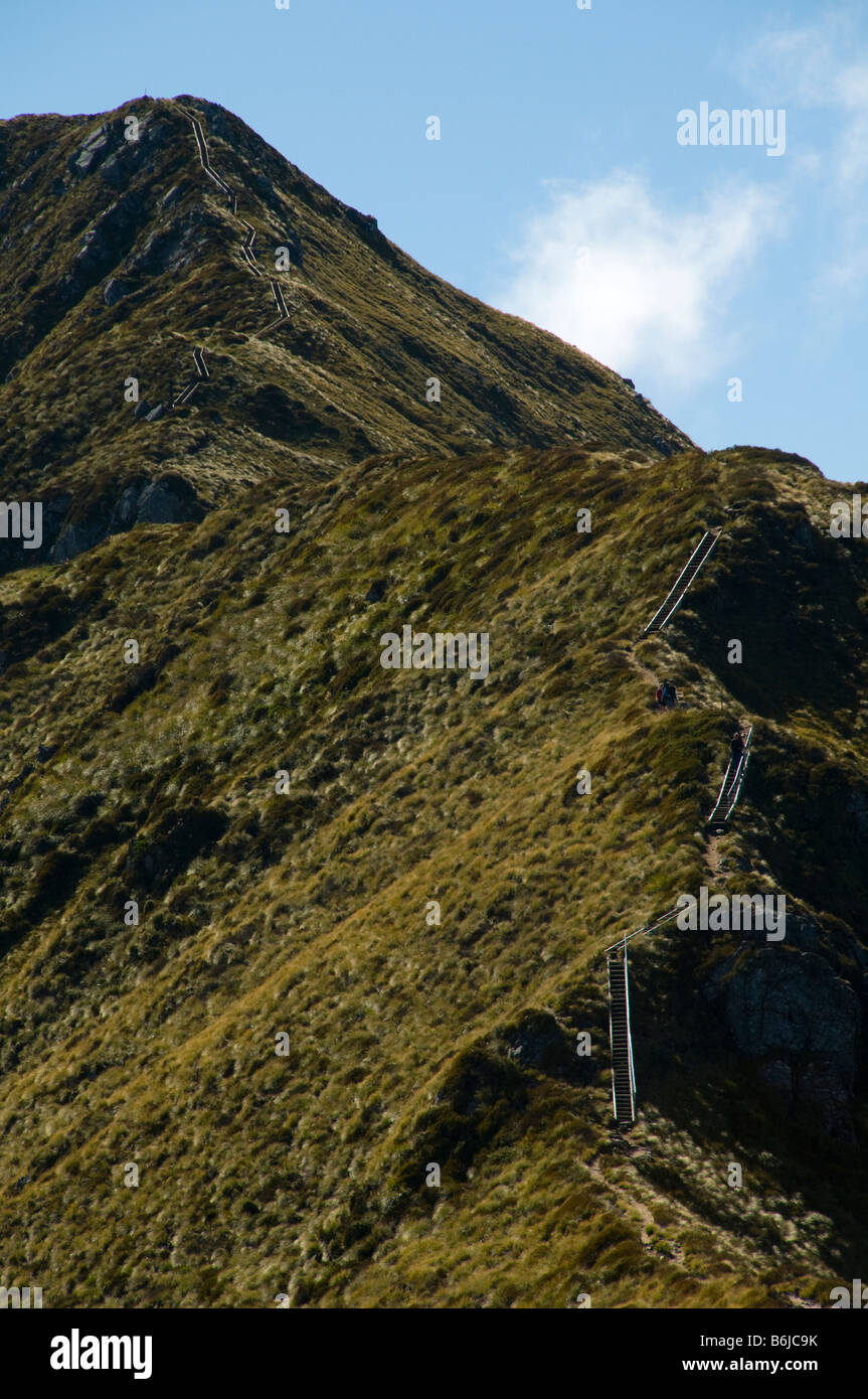 Le scale a pioli lungo la cresta di un crinale su Kepler via, Isola del Sud, Nuova Zelanda Foto Stock