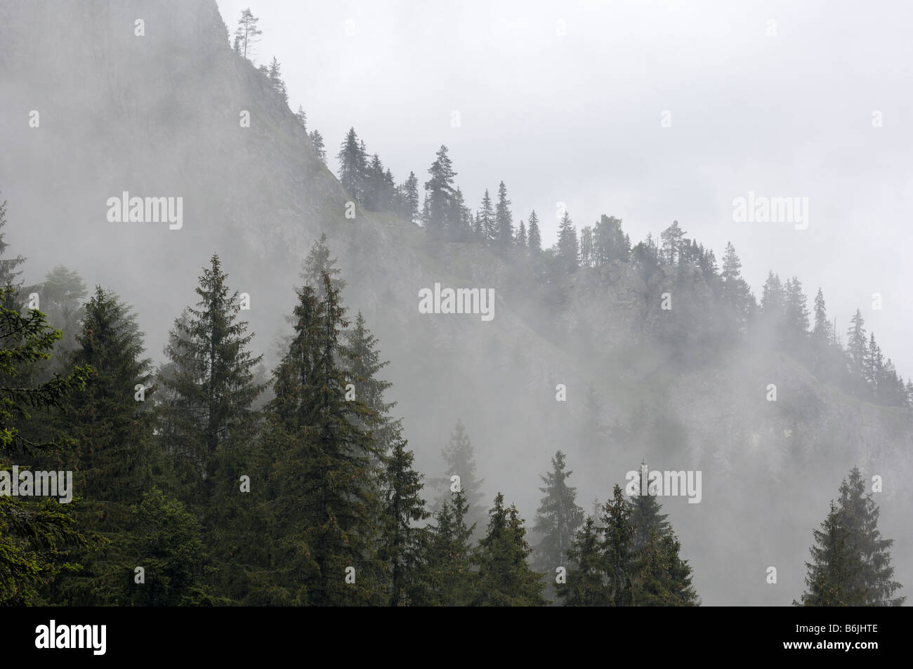 Misty Mountains, Carpazi tra la Transilvania e la Moldavia, Romania Foto Stock