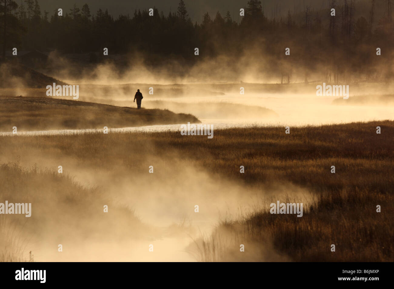 Alba nebbiosa mattina, Madison River Valley, il Parco Nazionale di Yellowstone, Wyoming Foto Stock
