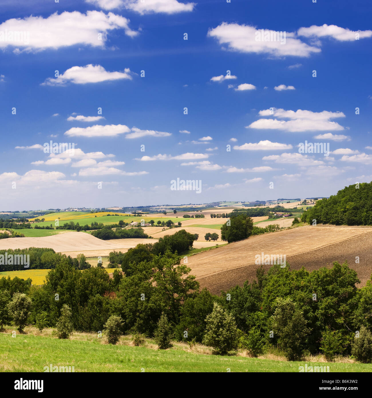 Il terreno coltivabile paesaggio del Gers in Guascogna Sudovest della Francia Europa Foto Stock