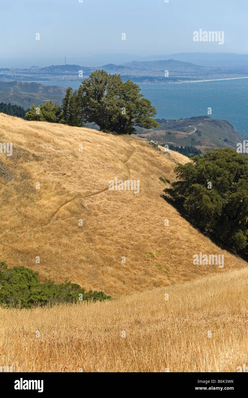 CALIFORNIA - erba pendii coperti e con vista dell'Oceano Pacifico dal Monte Tamalpais State Park. Foto Stock