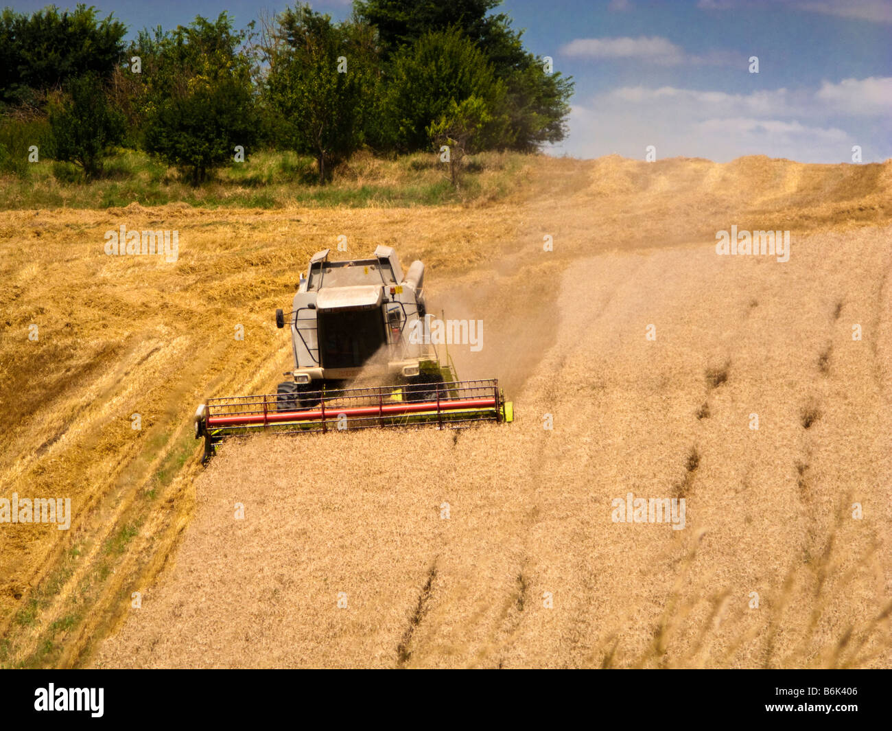 Macchina mietitrebbiatrice la raccolta di frumento in un campo di Tarn et Garonne, sud-ovest della Francia, Europa Foto Stock