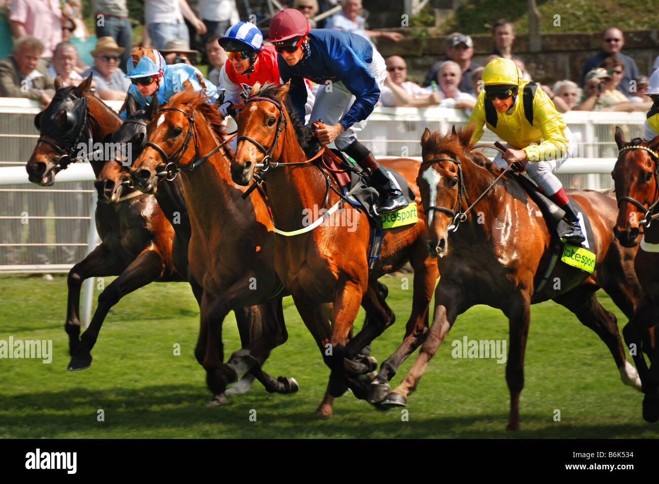 Corsa di cavalli a Chester Racecourse, Inghilterra Foto Stock