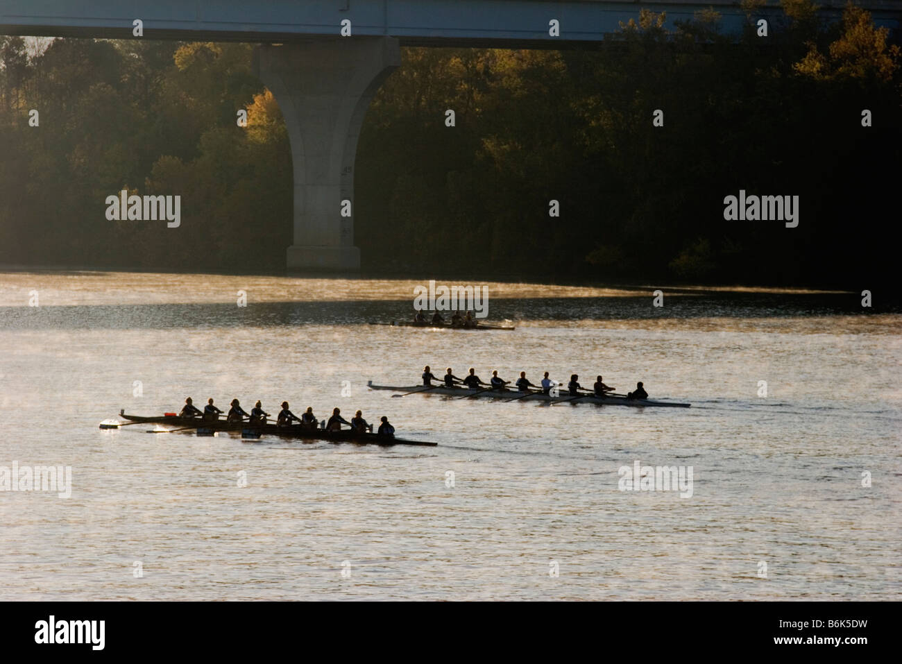 Diverse squadre di canottaggio competere sul fiume Tennessee a Chattanooga Foto Stock