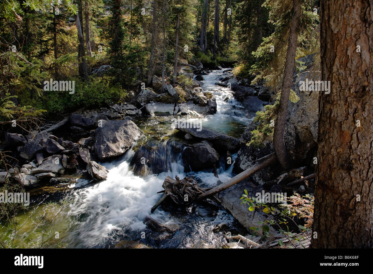Cascata Creek, Cascade Canyon, il Parco Nazionale del Grand Teton,; Wyoming; USA Foto Stock