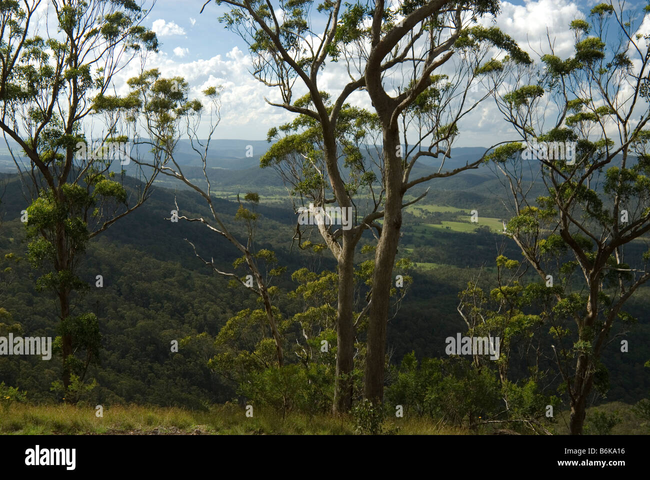 Gamma principale , Scenic Rim, Queensland, Australia Foto Stock