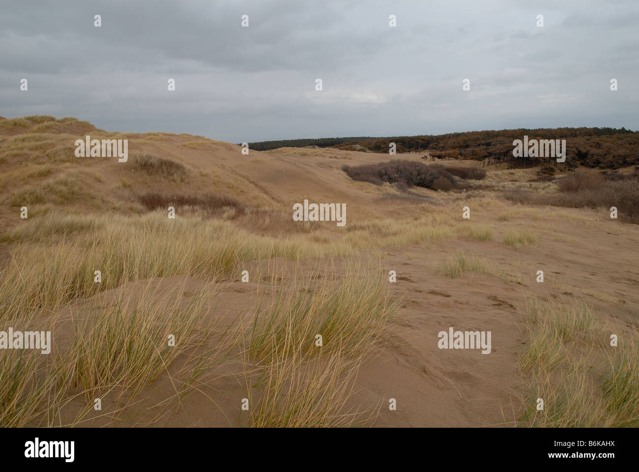 Formby dune di sabbia Foto Stock