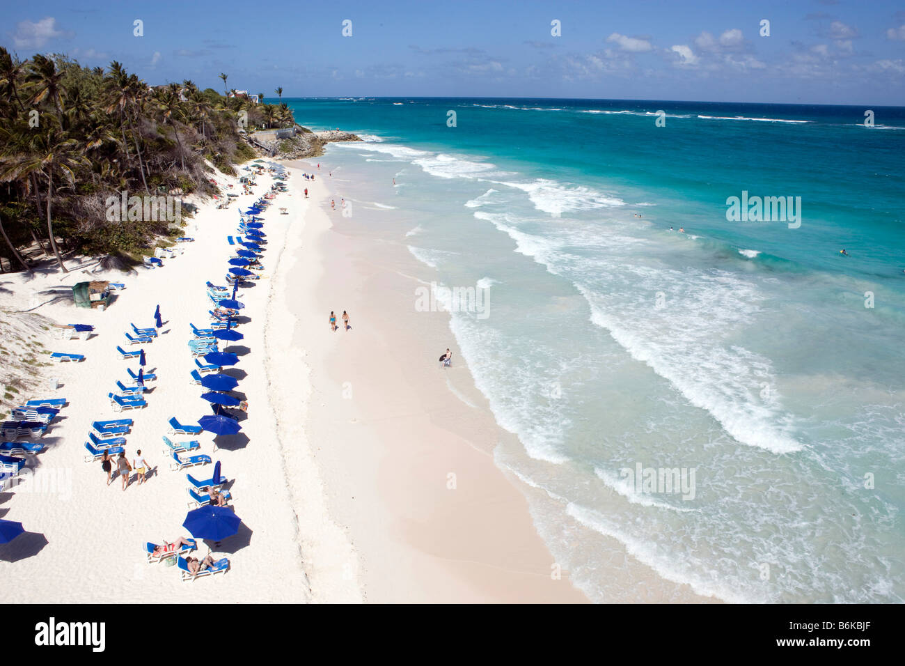 Vista della spiaggia di gru sui Caraibi Isola di Barbados Foto Stock