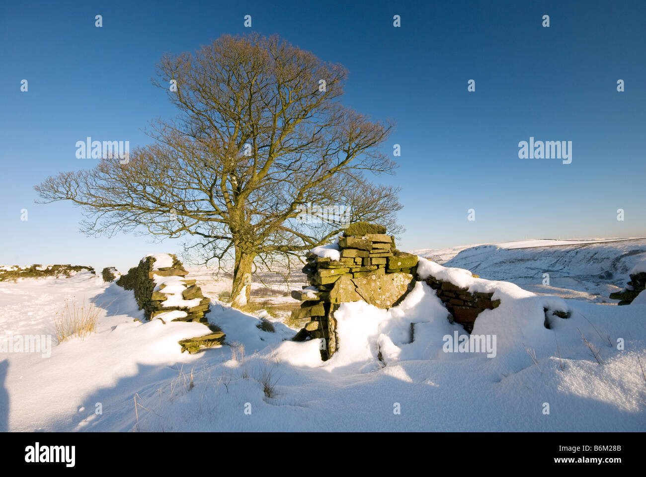 Inverno Snowscene su Lancashire brughiera Foto Stock