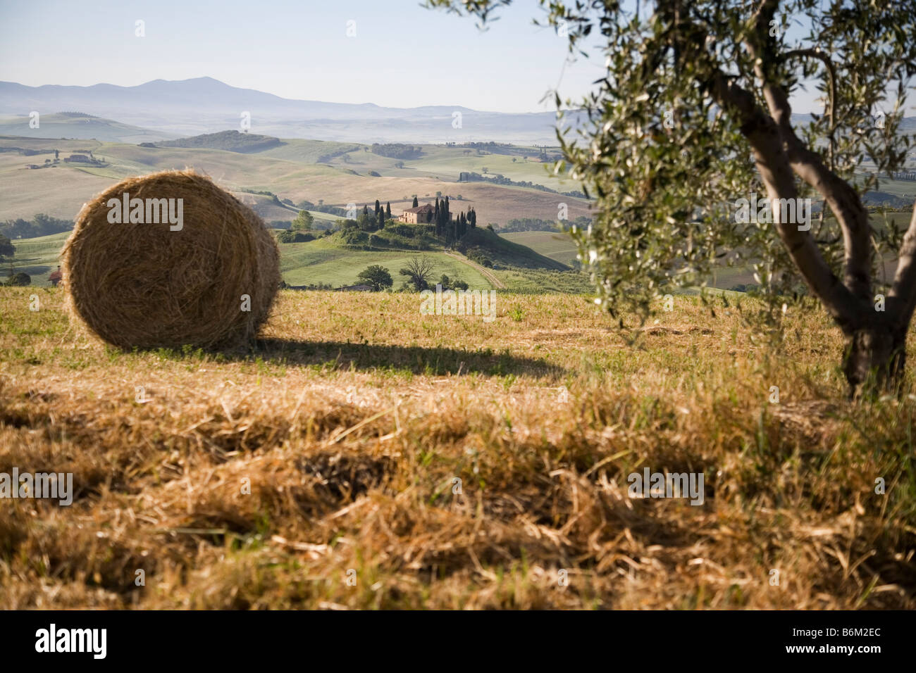 Il Belvedere agriturismo Val d Orcia Toscana Foto Stock